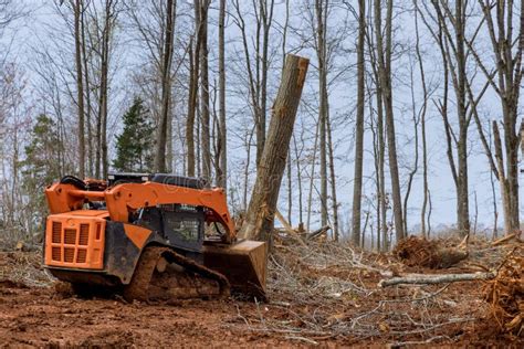 dozer vs skid steer for clearing brush|dozer for clearing trees.